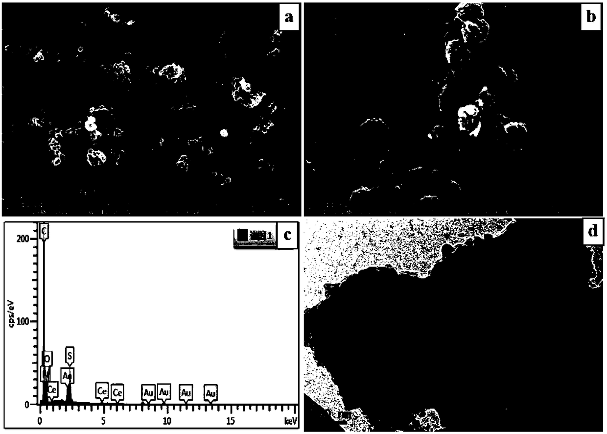 A cerium-doped polyaniline/activated carbon hybrid button supercapacitor