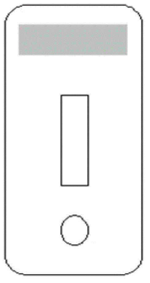 Immunochromatography analysis detection system and method