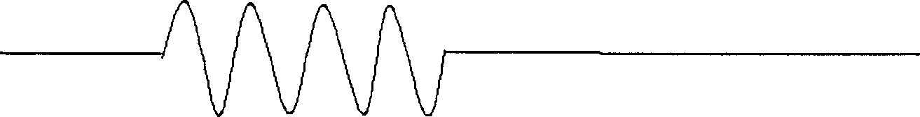 Digitized stratum echo signal simulator