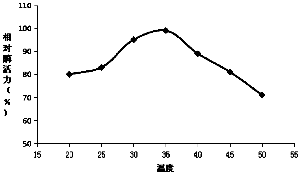 A strain of Pseudomonas with high lipase production and method for fermenting and producing enzyme