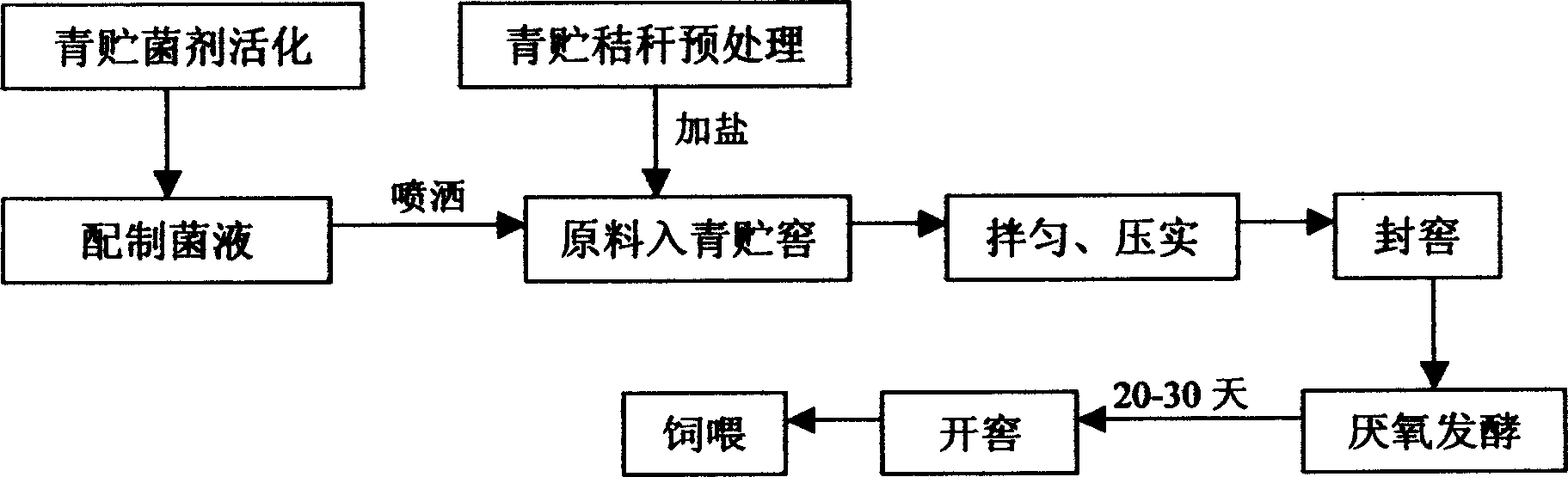 Microbial ensiling strain and composite fungus, method for producing silage