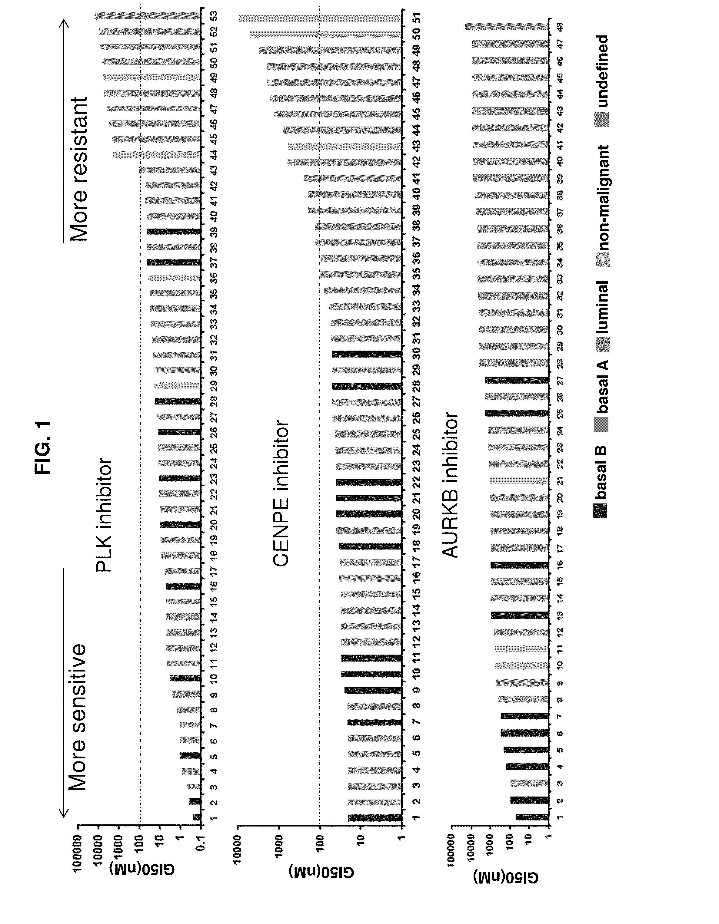 Cancer Specific Mitotic Network