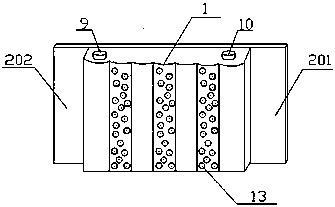 Device for infusion, drying and pest control of transplanted trees and method of use thereof