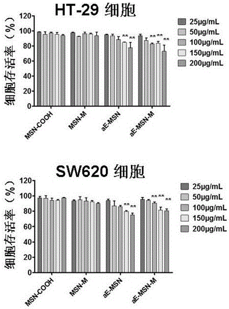 Antibody coupled mesoporous silica/mifepristone nanometer preparation