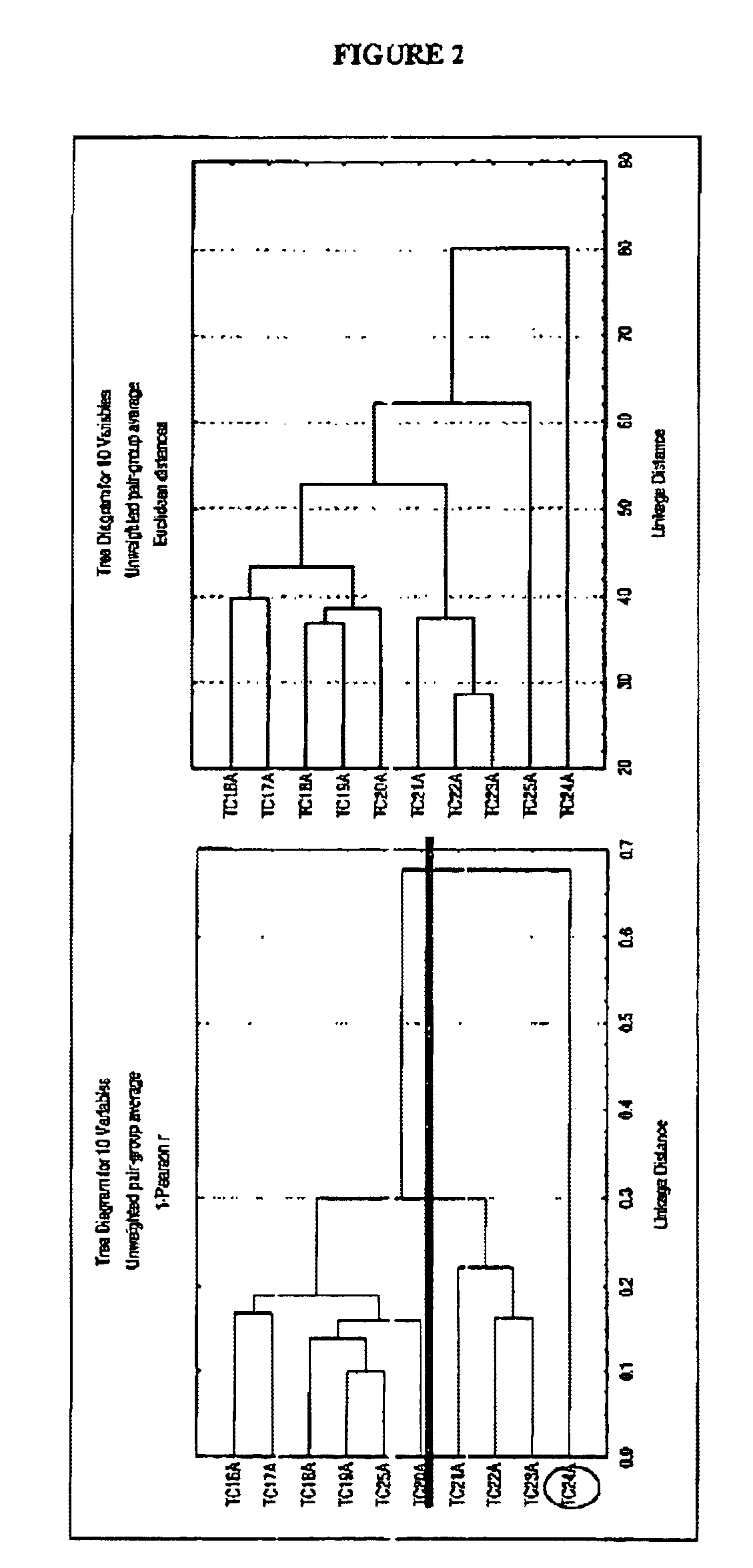 Methods of diagnosing bladder cancer