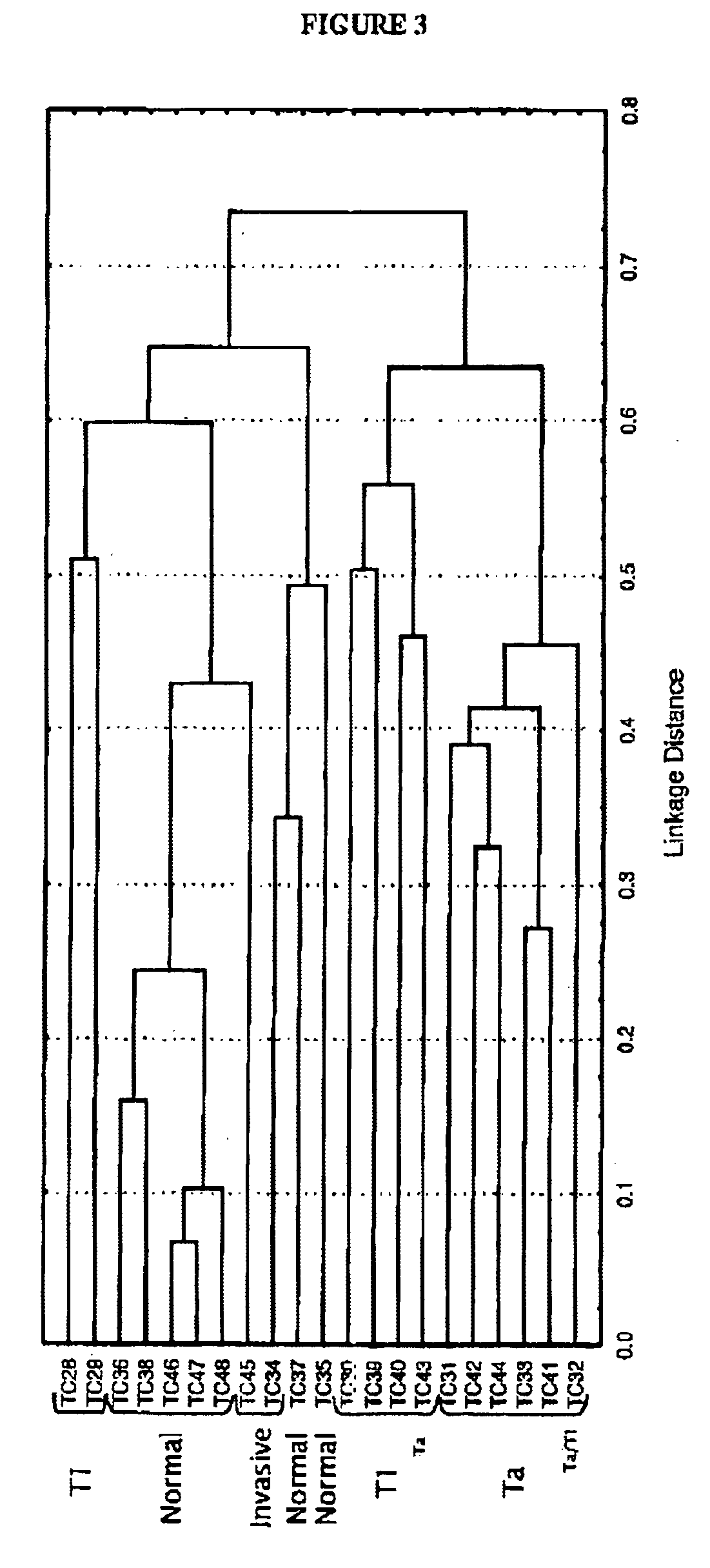 Methods of diagnosing bladder cancer