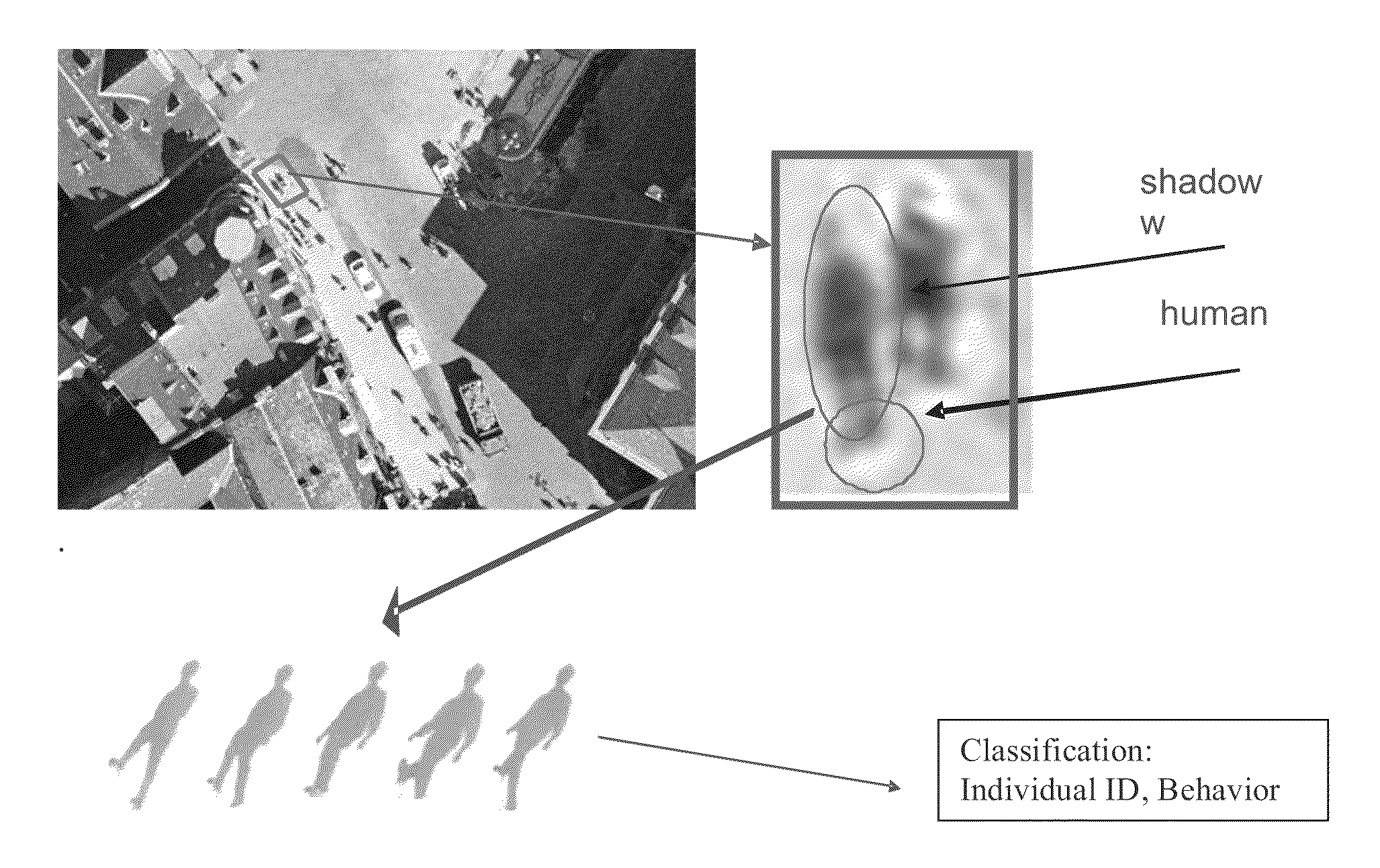 Method for using information in human shadows and their dynamics