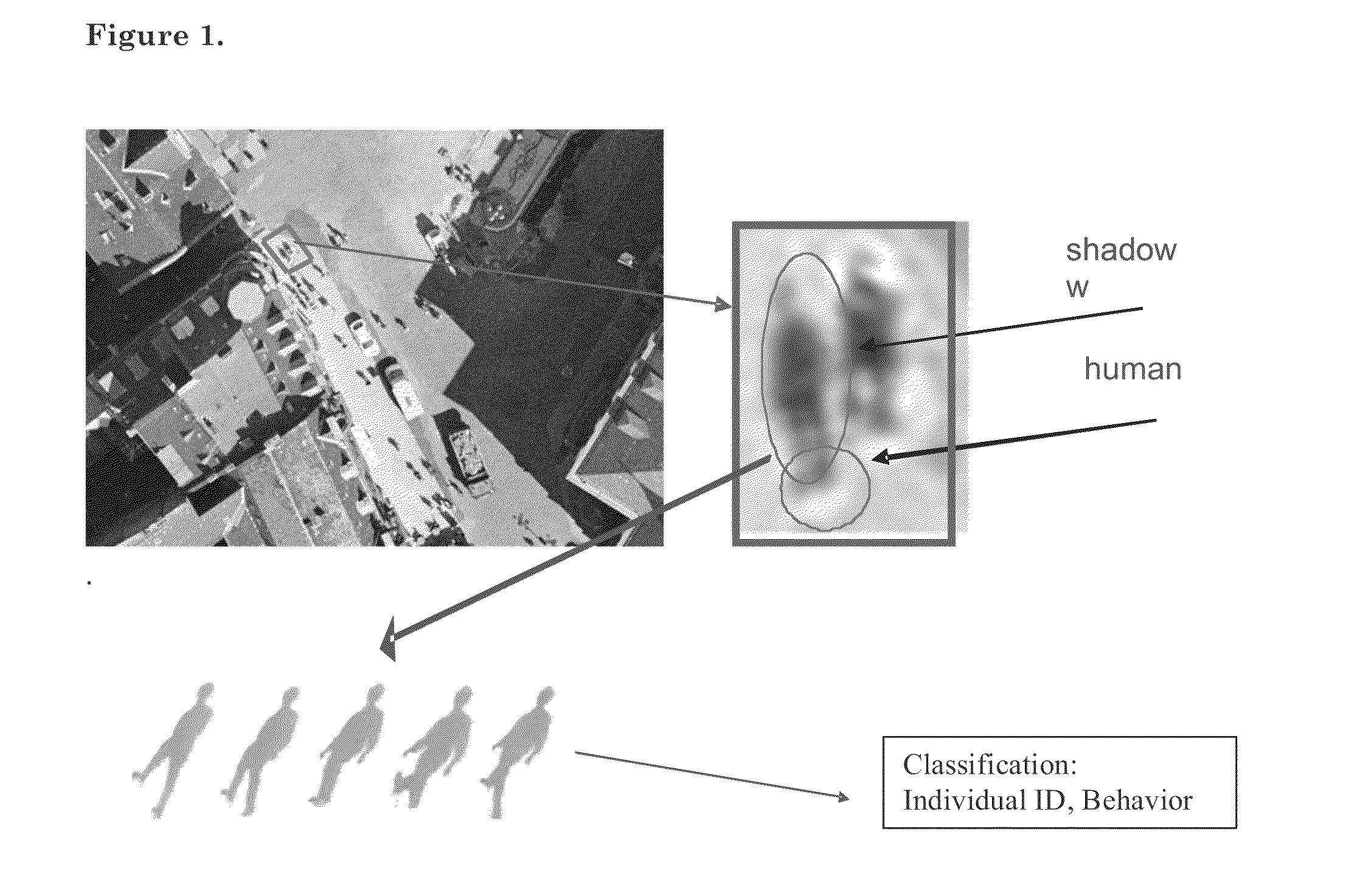 Method for using information in human shadows and their dynamics