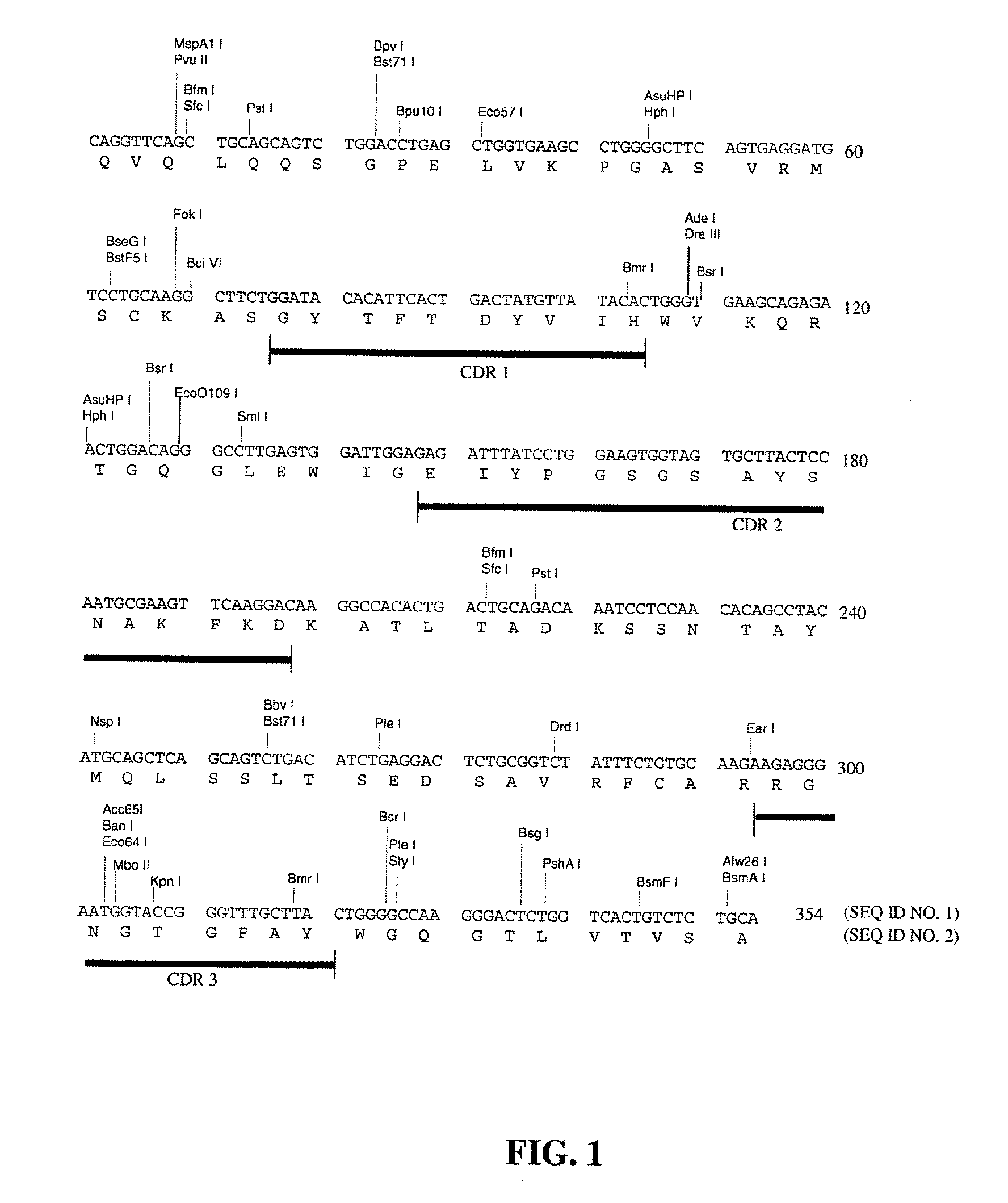 Deimmunized monoclonal antibodies for protection against HIV exposure and treatment of HIV infection