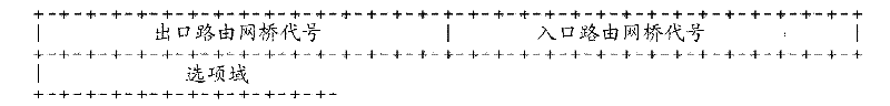 Method and system for interconnecting domains of transparent interconnection over lots of links network