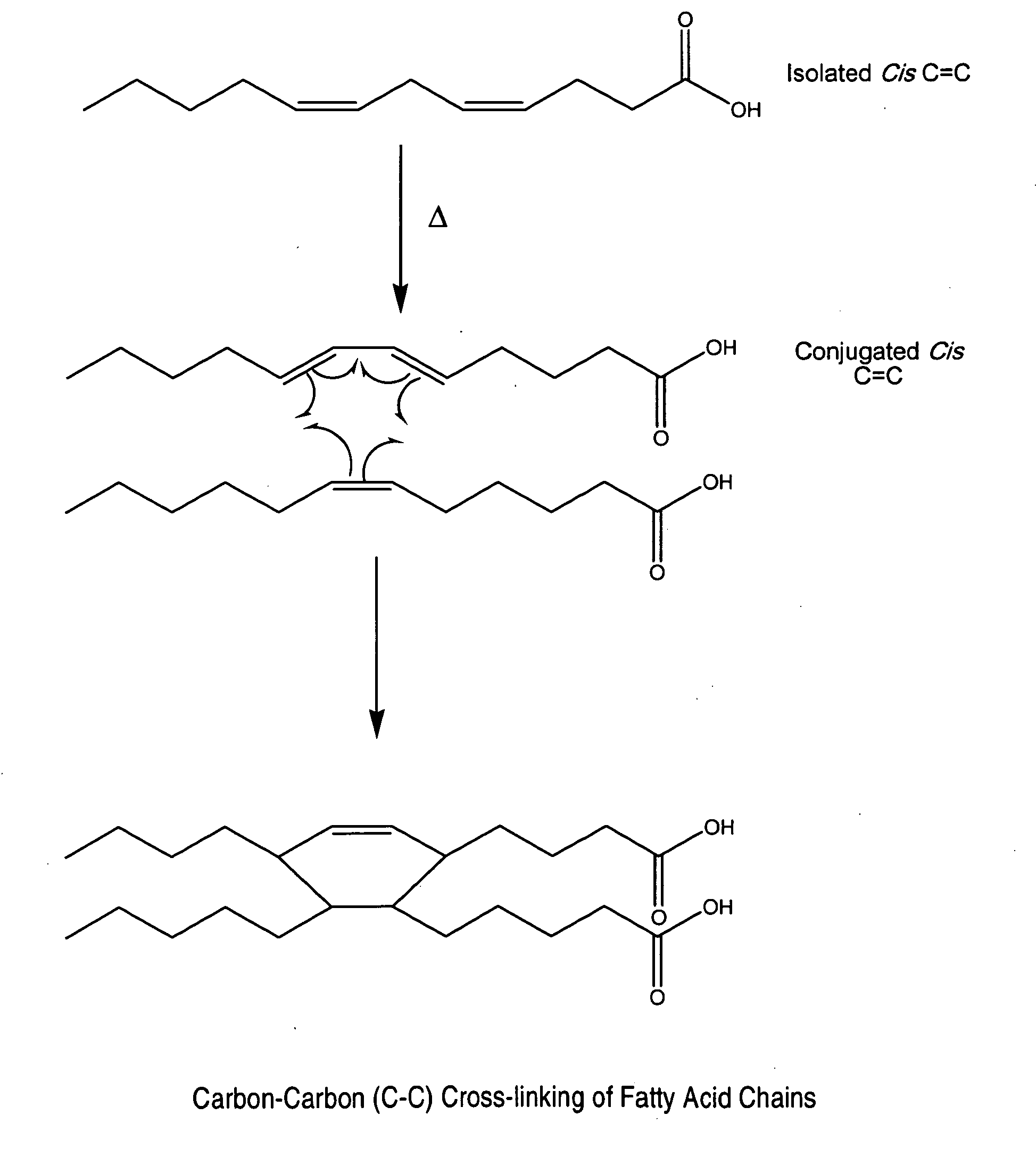 Cross-linked fatty acid-based biomaterials