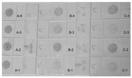 Sputum preserving fluid