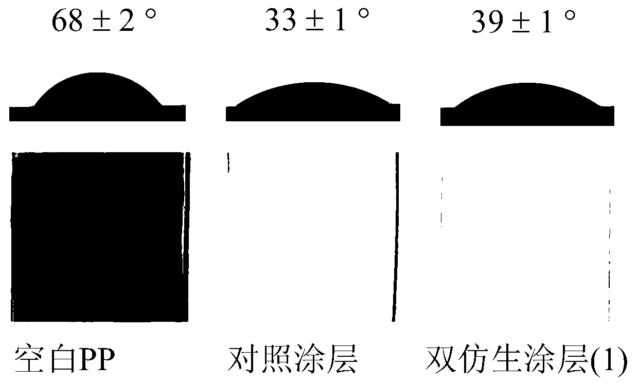 Bionic polymer and method for preparing durable double-bionic polymer coating and application thereof