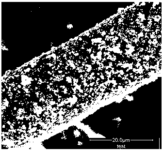 Preparation method of flame-retardant/super-hydrophobic cotton fabric