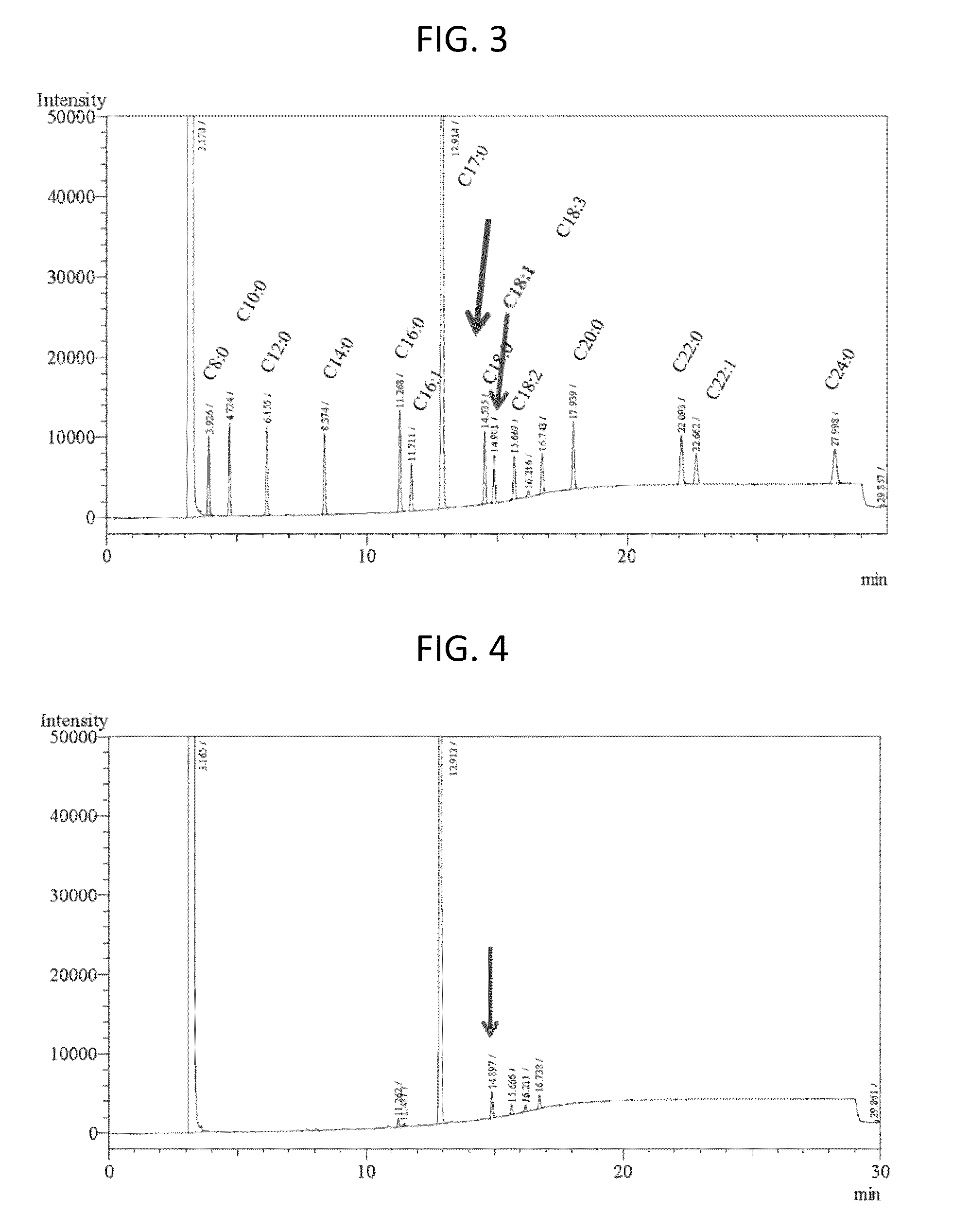 Microorganism <i>Rhizobium </i>sp. KB10 having properties of promoting growth of <i>Botryococcus braunii </i>and increasing fatty acid content