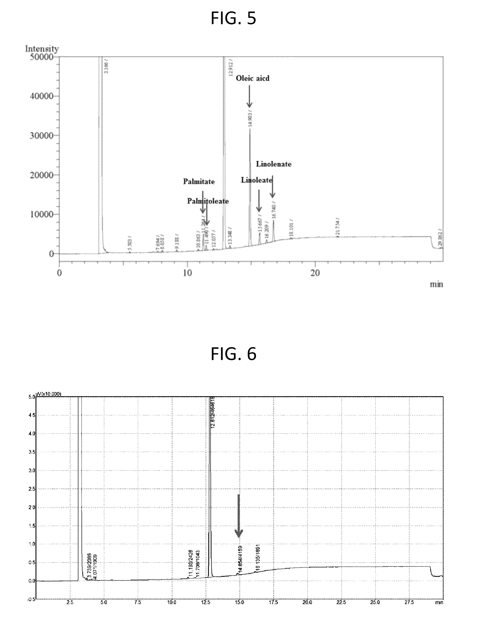 Microorganism <i>Rhizobium </i>sp. KB10 having properties of promoting growth of <i>Botryococcus braunii </i>and increasing fatty acid content