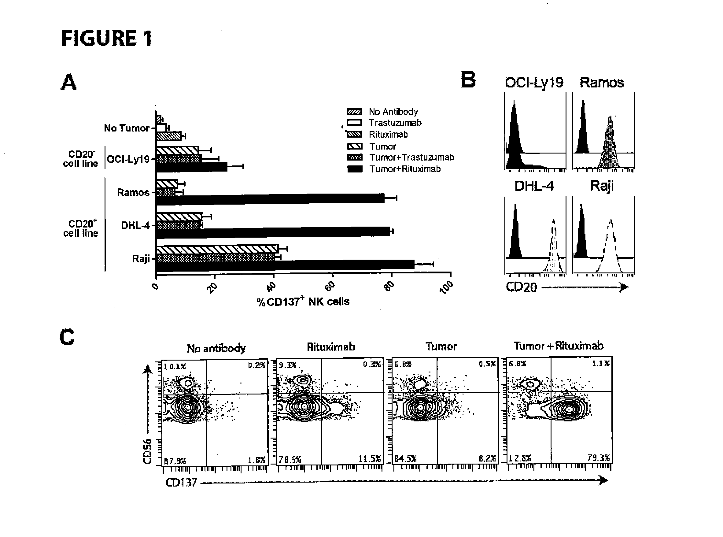 Methods for Enhancing Anti-Tumor Antibody Therapy