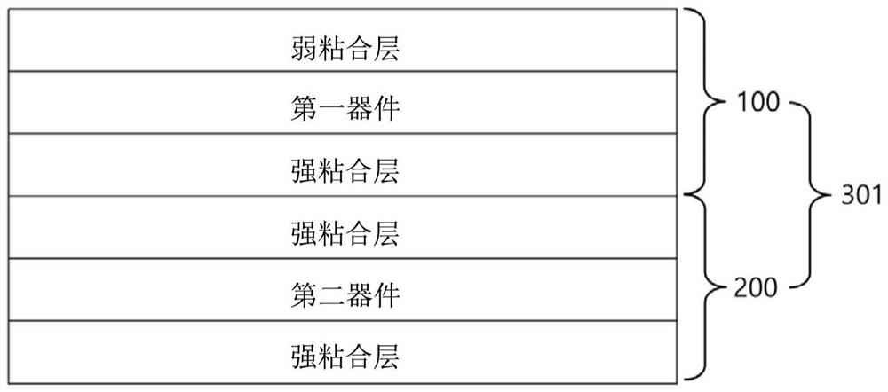 Adhesive chuck member, pattern forming method thereof, substrate clamping method and system