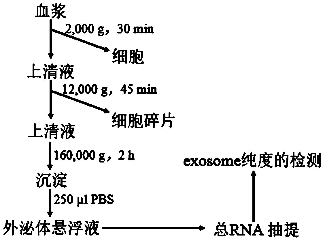 A method for isolating exosomes from animal plasma and performing purity testing