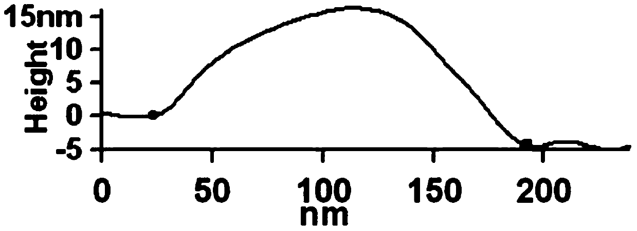 A method for isolating exosomes from animal plasma and performing purity testing