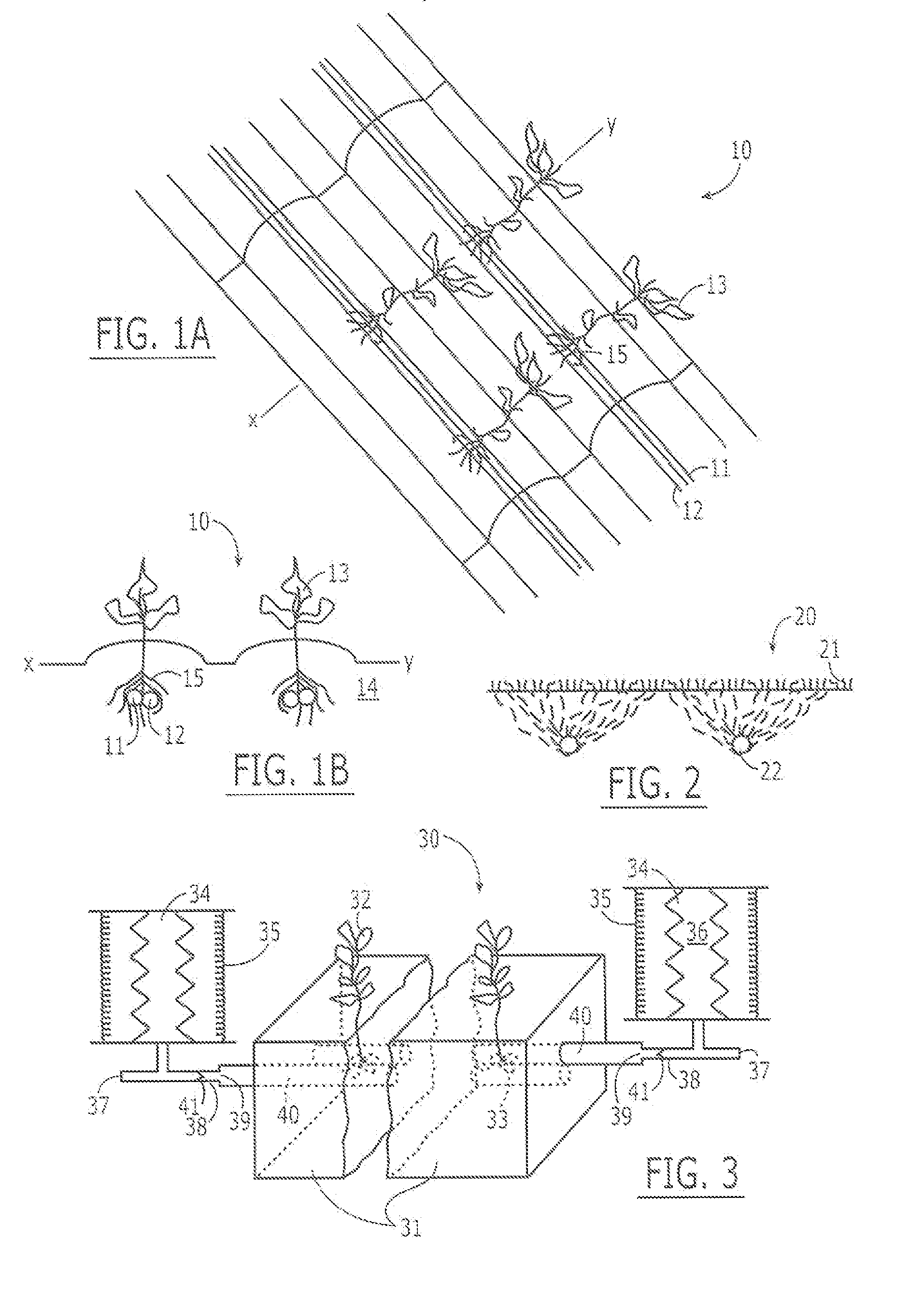 Fluid and Nutrient Delivery System and Associated Methods