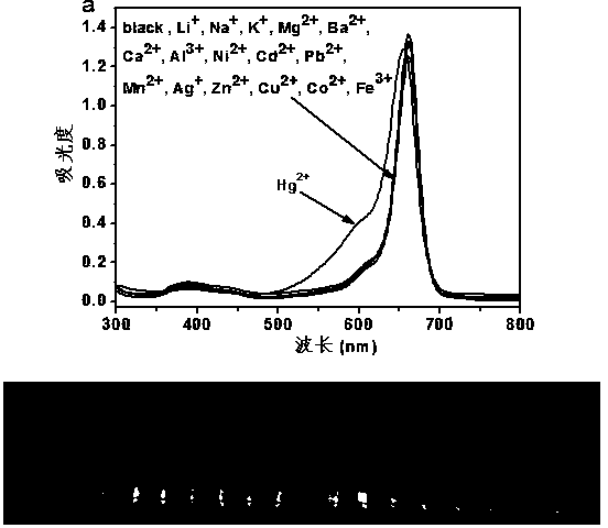 A monothiosquaric acid dye fluorescent probe for detecting mercury ions and its preparation