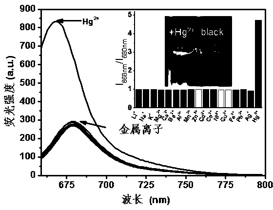 A monothiosquaric acid dye fluorescent probe for detecting mercury ions and its preparation