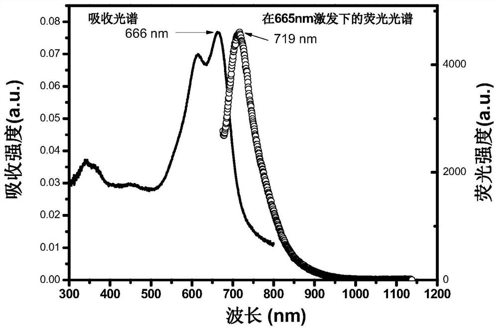 Quantum dot modified protein vaccine as well as preparation method and application thereof