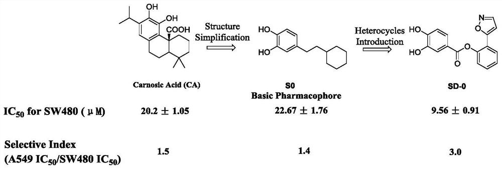 2-(isoxazole-5-yl) phenyl-3, 4-dihydroxy-benzoate and derivative thereof, synthetic method and application of 2-(isoxazole-5-yl) phenyl-3, 4-dihydroxy-benzoate and derivative thereof