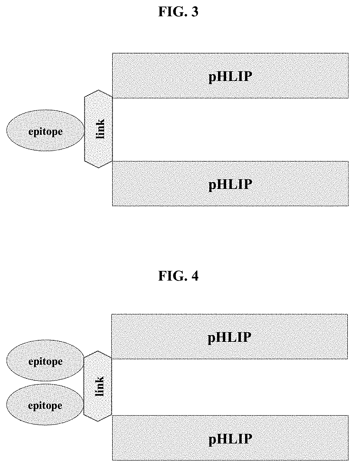 pHLIP® peptide-mediated epitope tethering at cell surfaces