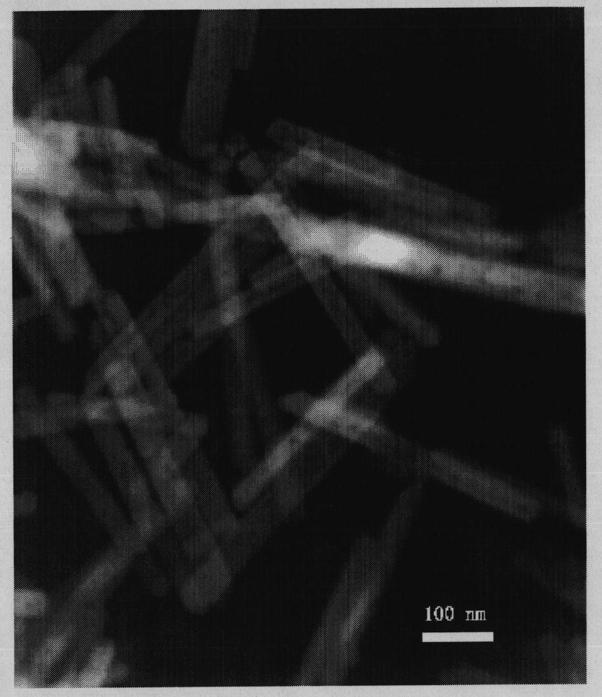 Method for preparing europium-doped lanthanum phosphate porous nanorods on basis of herring sperm DNA template