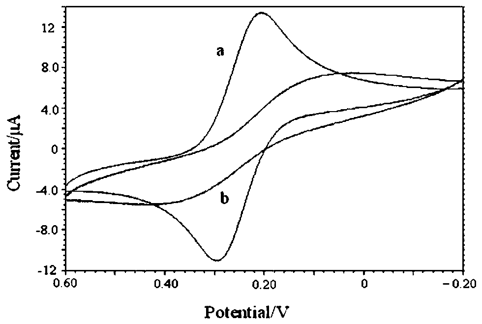 Preparation method of ni-salen complex and ni-salen complex