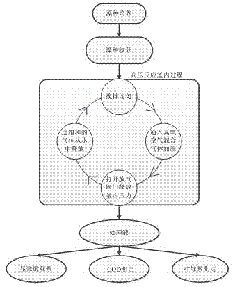 Method for breaking algae cells