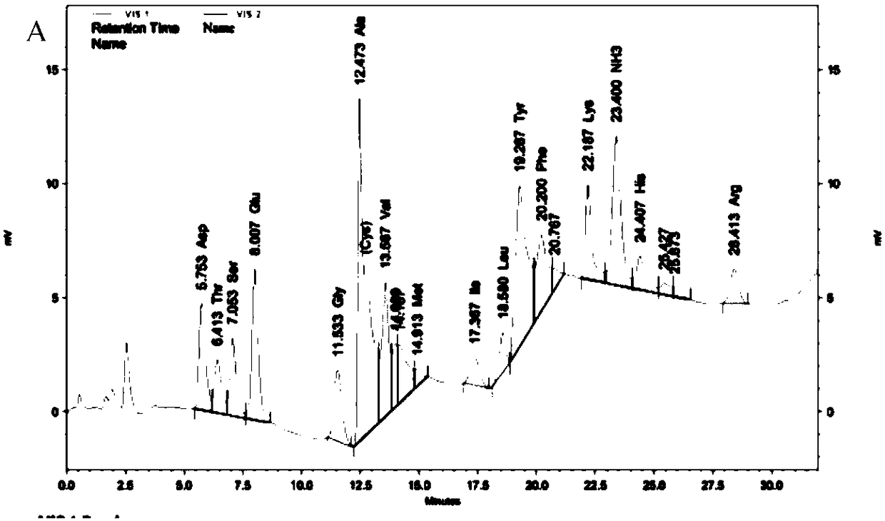 Processing method of wild debregeasia edulis fruits