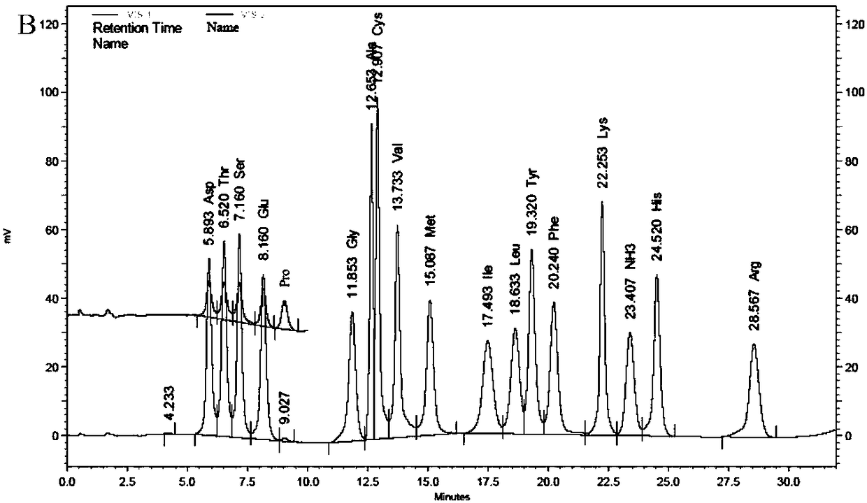 Processing method of wild debregeasia edulis fruits