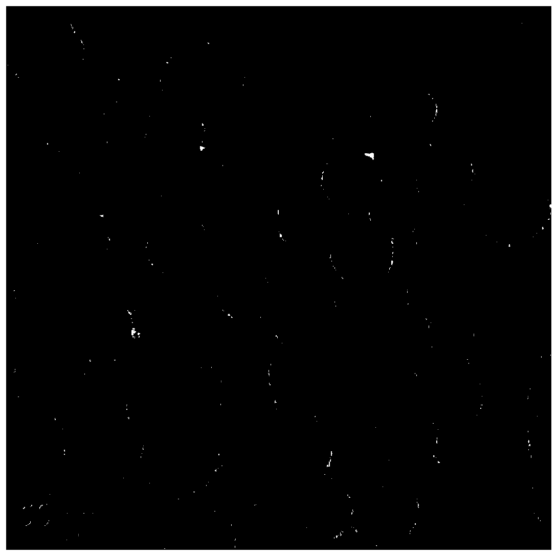 Method for enhancing rhodamine B isothiocyanate fluorescence intensity through silver nanoparticle aggregation