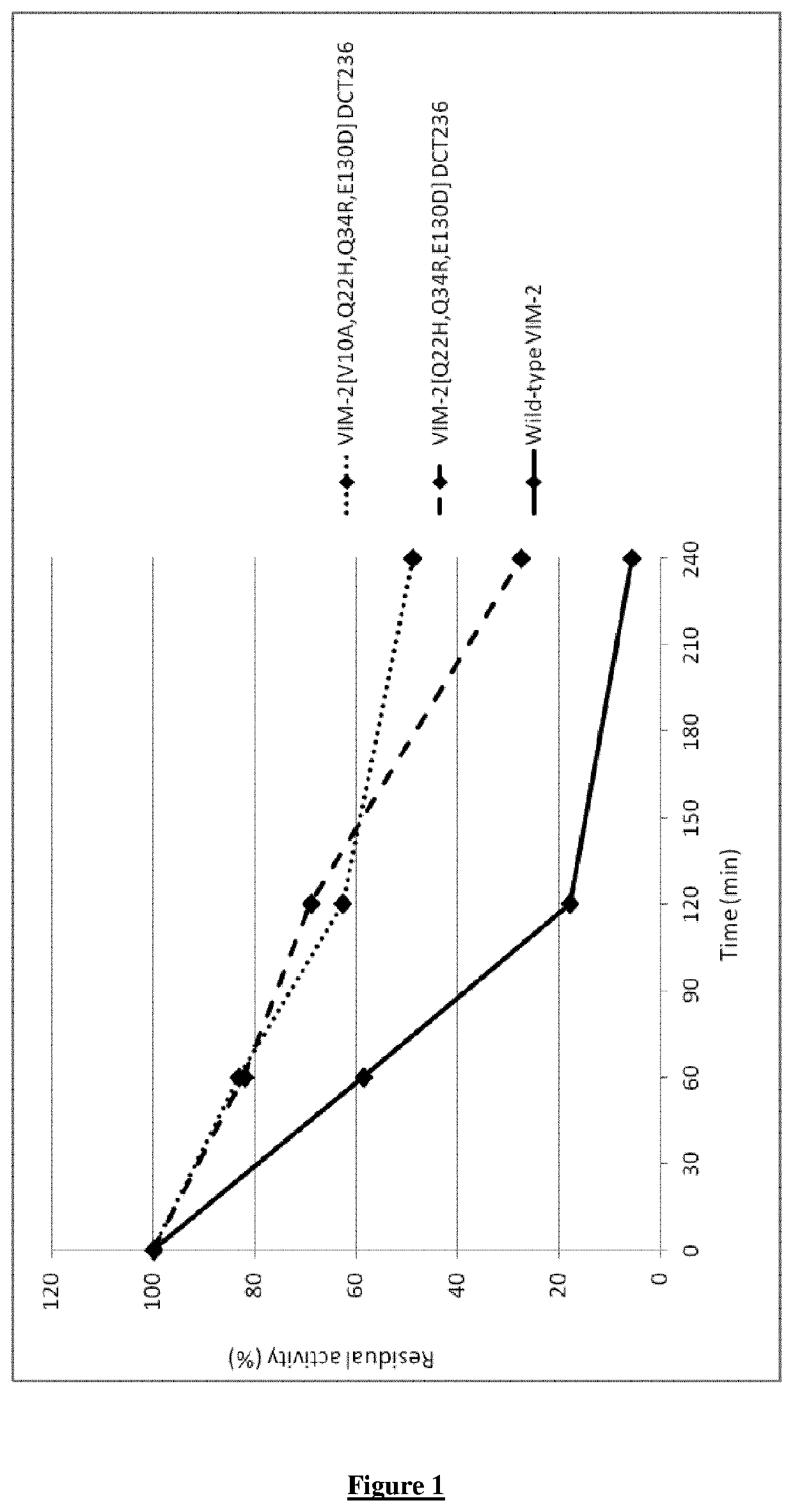 Beta-lactamase variants