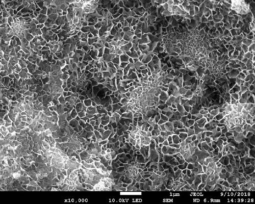 Degradable magnesium alloy bone nail with squamous bionic bone nanostructure coating and preparation method