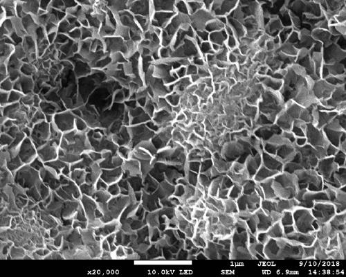 Degradable magnesium alloy bone nail with squamous bionic bone nanostructure coating and preparation method