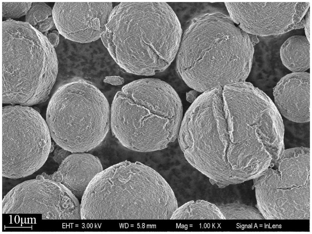 Stable metal lithium powder and preparation method and application thereof