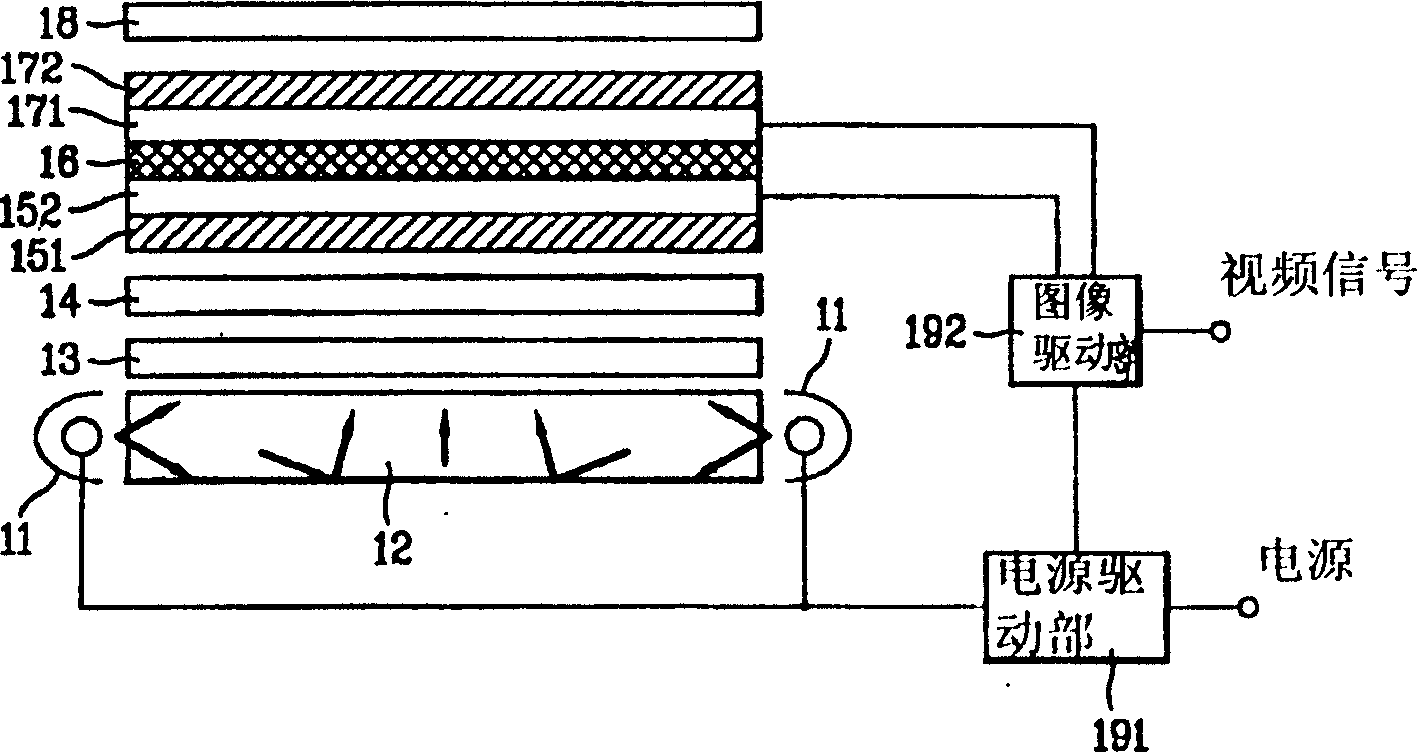 Panel display device using hologram plate template liquid crystal