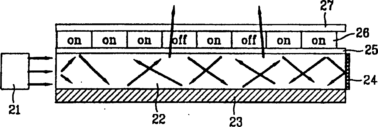 Panel display device using hologram plate template liquid crystal