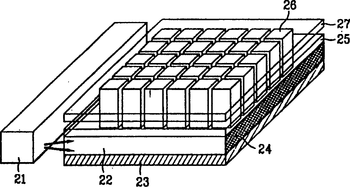 Panel display device using hologram plate template liquid crystal