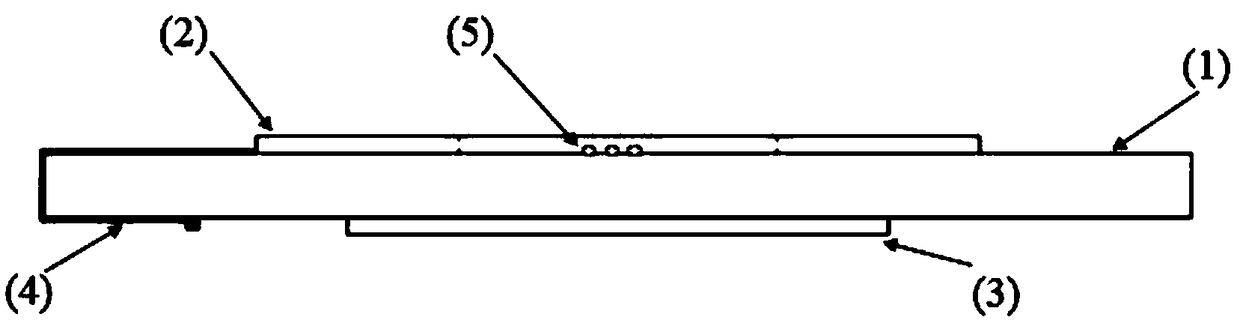 Quartz crystal microbalance with annular indium tin oxide electrode