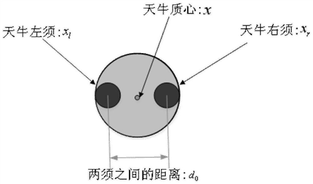 Power distribution network dynamic reactive power optimization method based on variable step size beetle antennae search algorithm