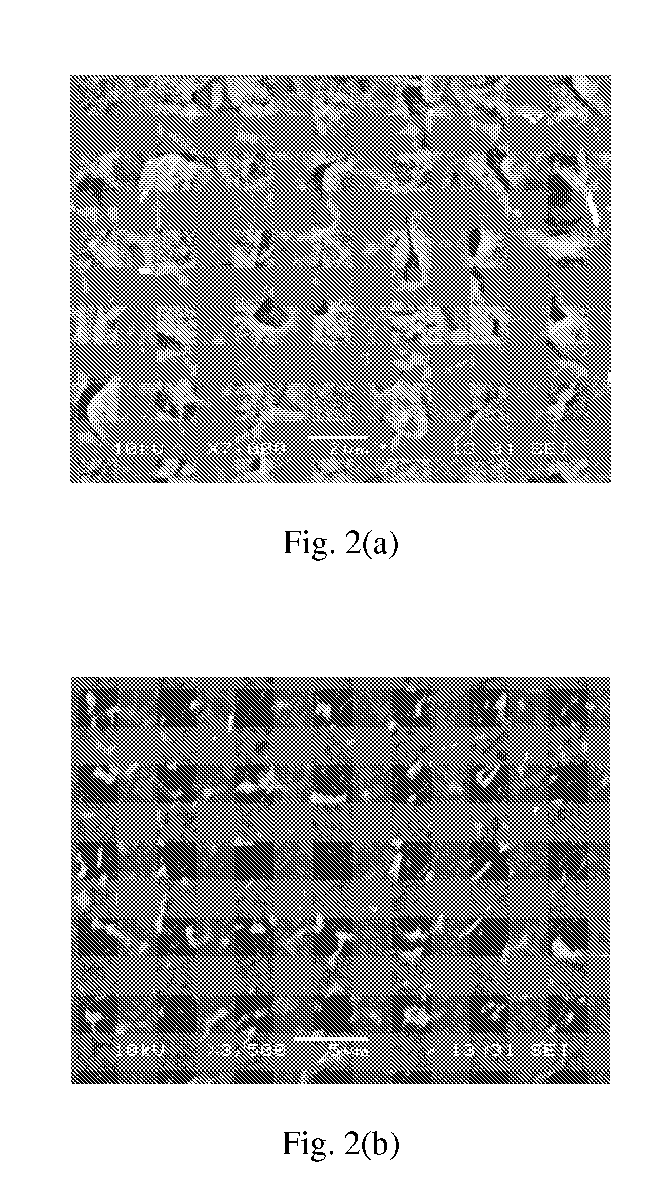 Method for preparing biomedical surfaces