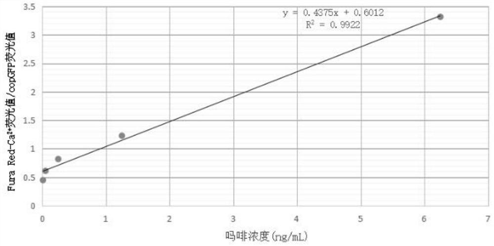 A general detection method and detection kit for opioid active substances