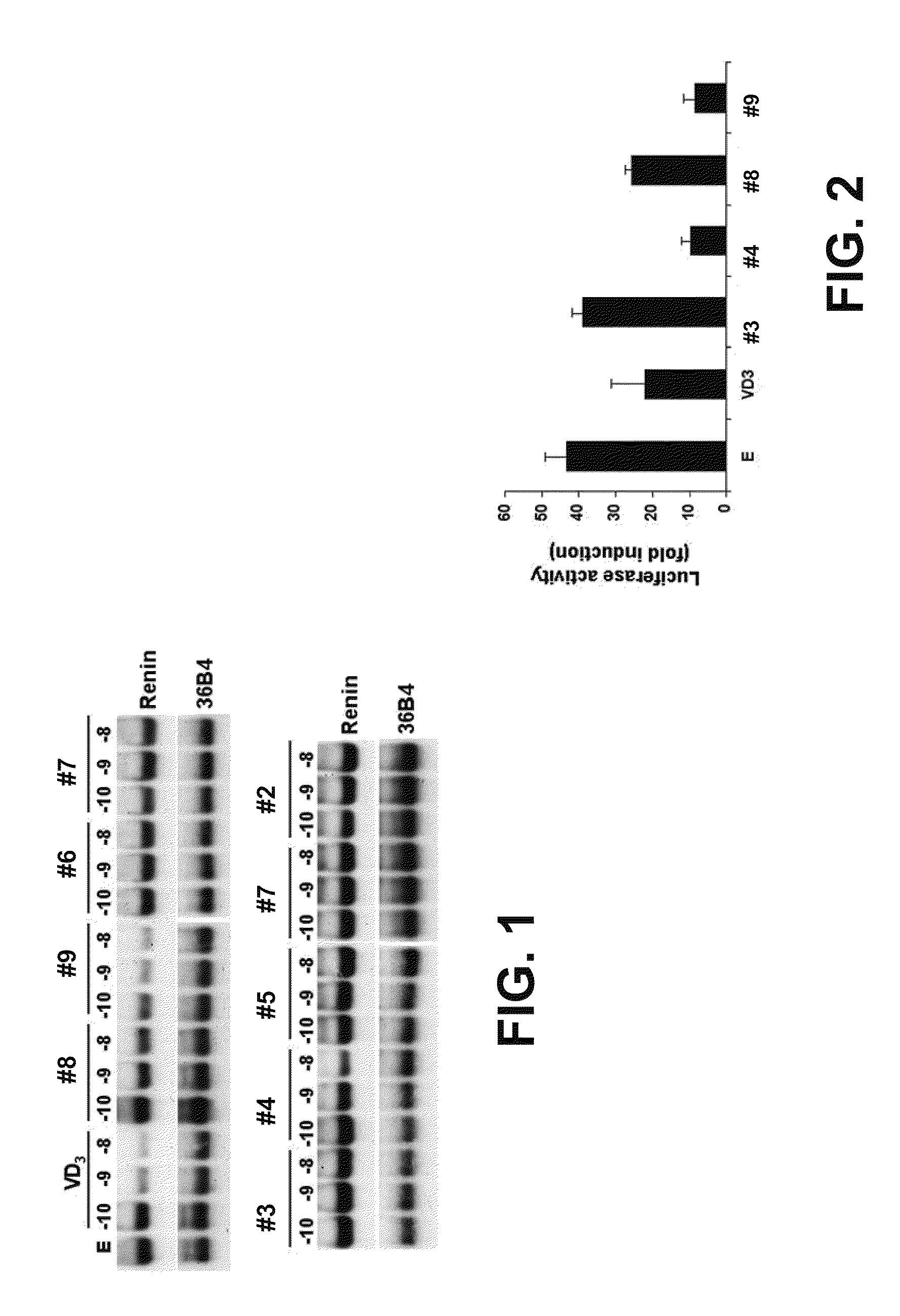 Vitamin d and vitamin d analogs or derivatives as new Anti-hypertensive agents