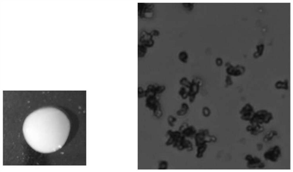 Suspension of triazole antifungal drug for atomizer