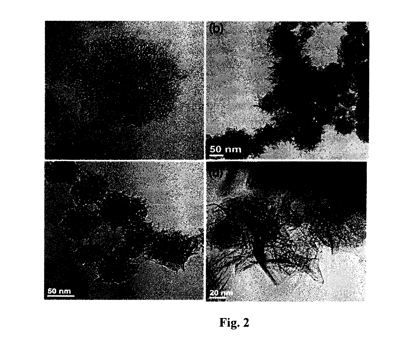 A process for the preparation of nitrogen doped carbon nanohorns for oxygen reduction electrocatalysis